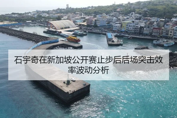 石宇奇在新加坡公开赛止步后后场突击效率波动分析
