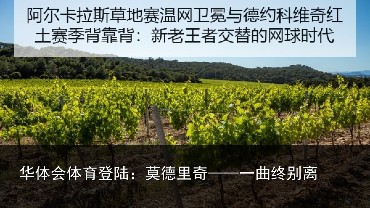 华体会体育登陆：莫德里奇——一曲终别离