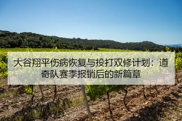 大谷翔平伤病恢复与投打双修计划：道奇队赛季报销后的新篇章
