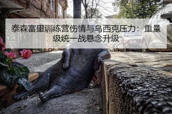tai-sen-fu-li-xun-lian-ying-shang-qing-yu-wu-xi-ke-ya-li-zhong-liang-ji-tong-yi-zhan-xuan-nian-sheng-ji-2-470.jpg