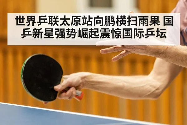 世界乒联太原站向鹏横扫雨果 国乒新星强势崛起震惊国际乒坛